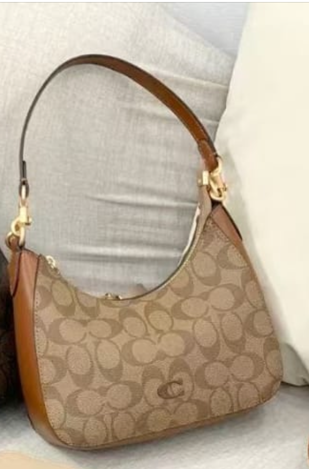 Coach Bailey hobo bag in signature canvas and leather trim